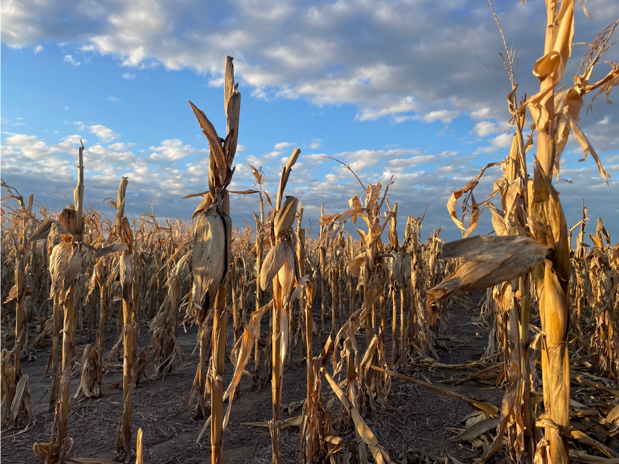 When Mother Nature Shuts You Down