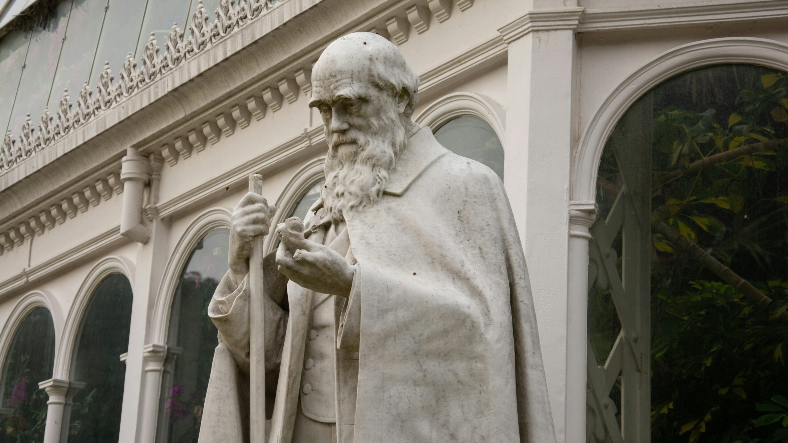 Darwin Wasn’t Too Busy for Local Civics. We Shouldn’t Be Either.