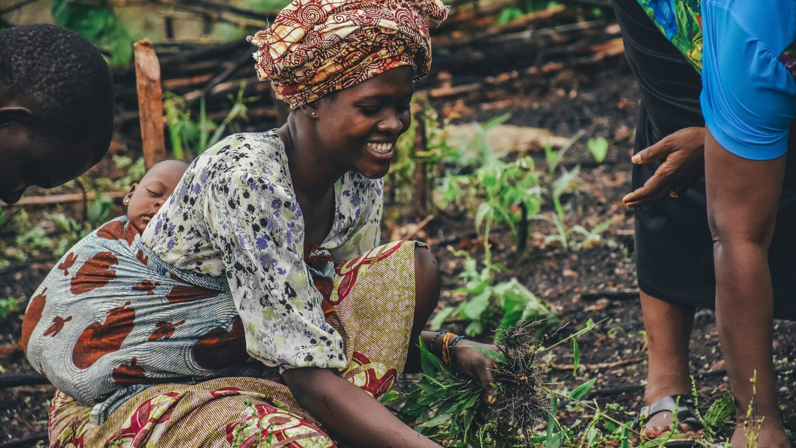 Data for the Farmer Could Reimagine Africa’s Food System